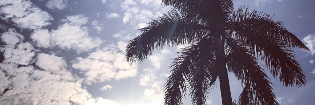 bellasocks's profile banner image
