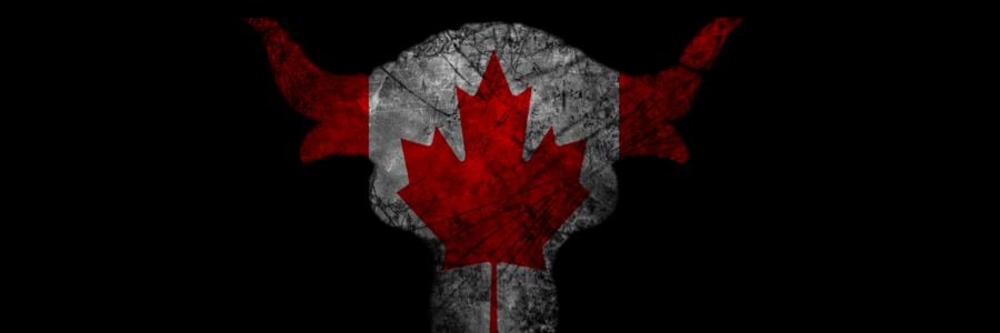 therockmorin's profile banner image