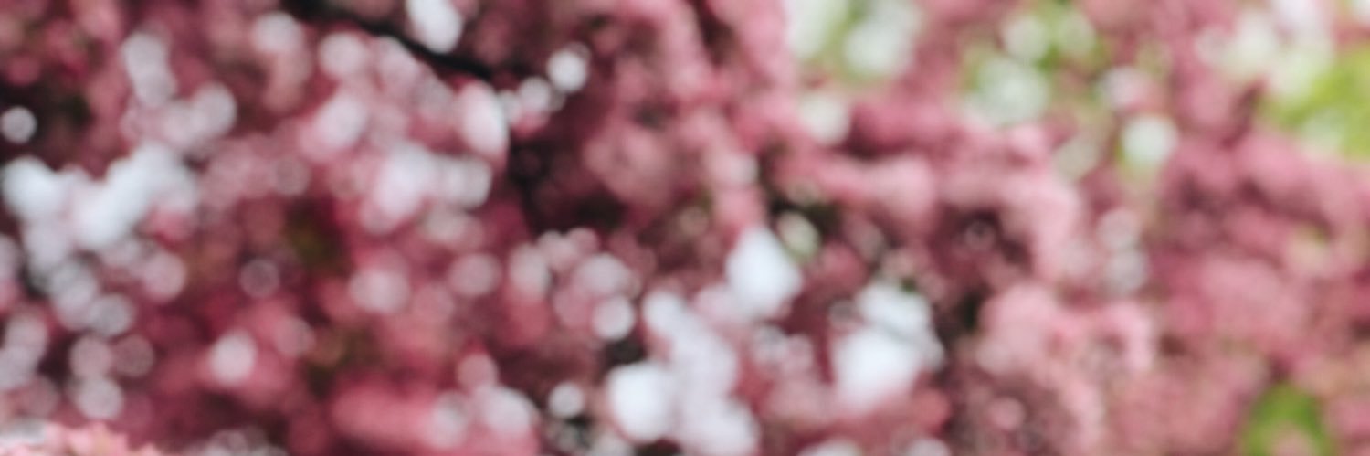 MoriahSunde's profile banner image
