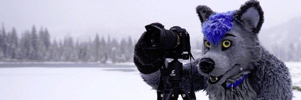 Rez_Wolf Profile Banner