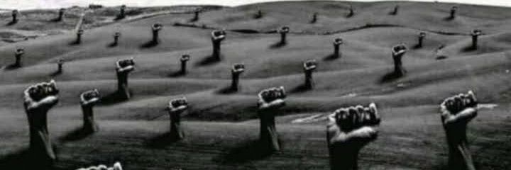 shoolat_'s profile banner image