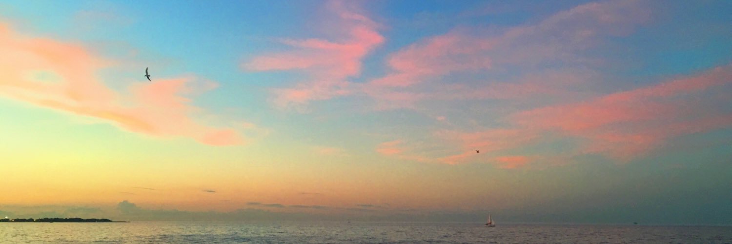 brianruane's profile banner image