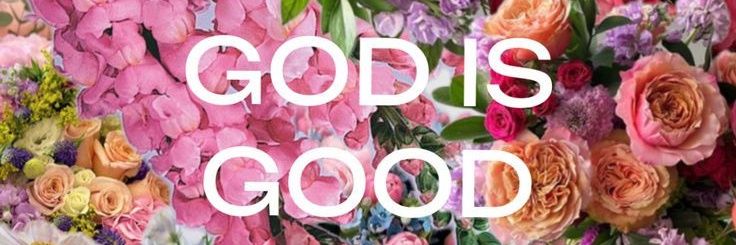 ✿ banner