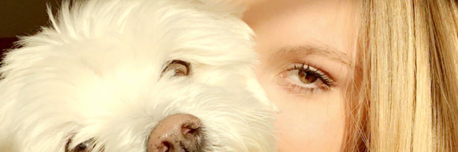 GraceHellmann's profile banner image