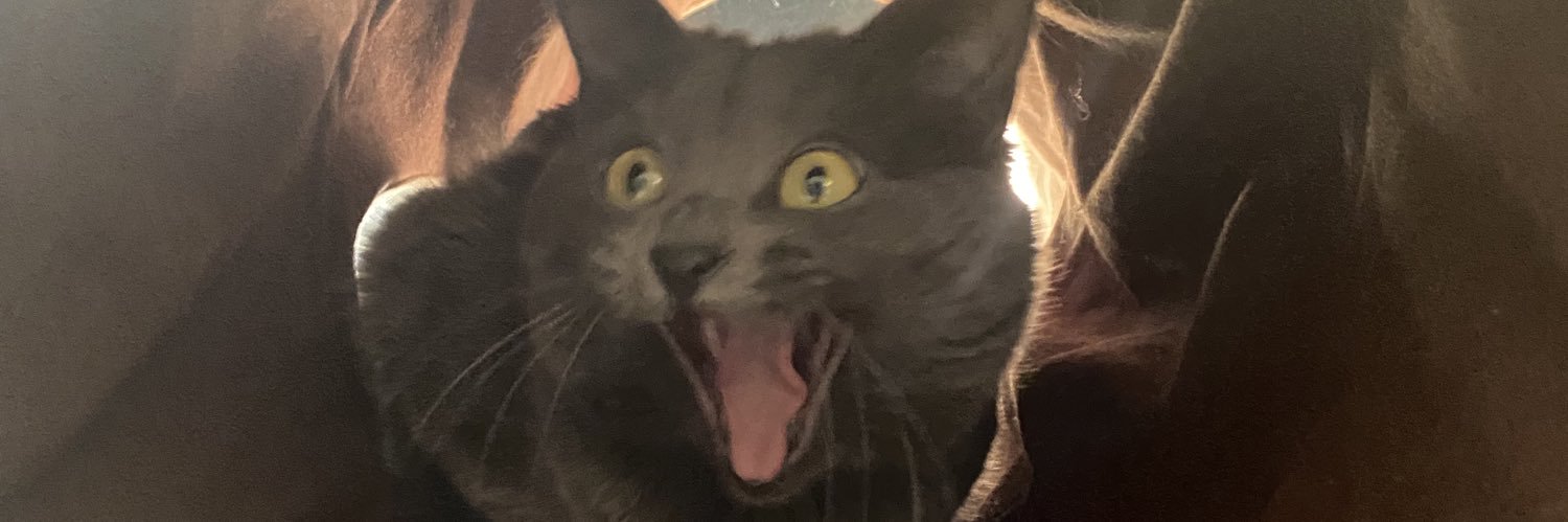 eeeeeeeeelan's profile banner image