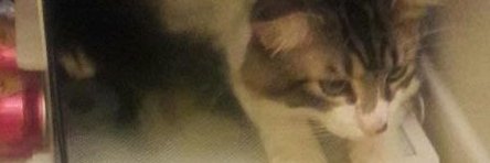 StuartTyll's profile banner image