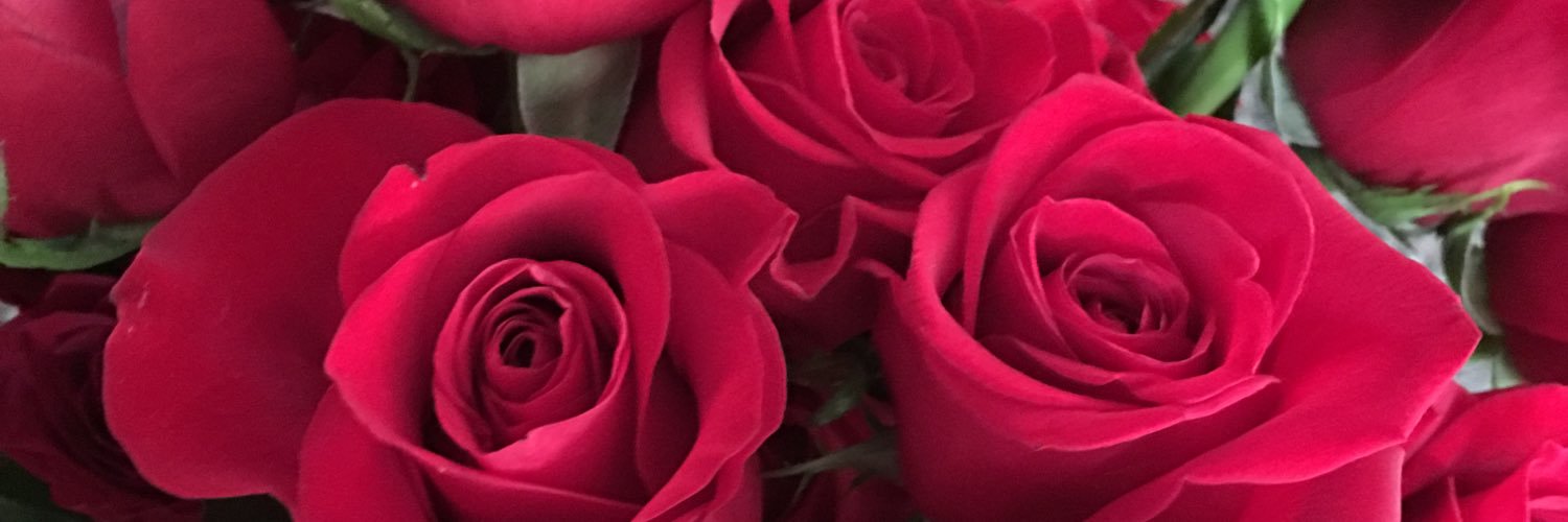 Suebee700's profile banner image