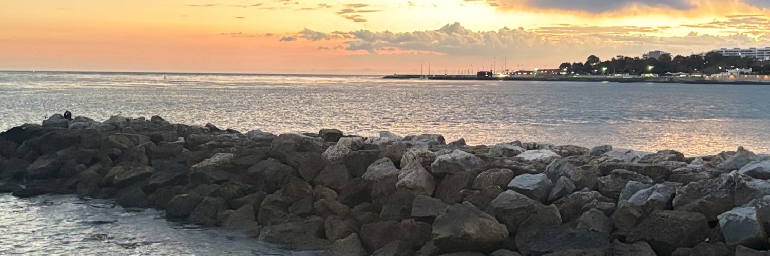 FaRapallo's profile banner image