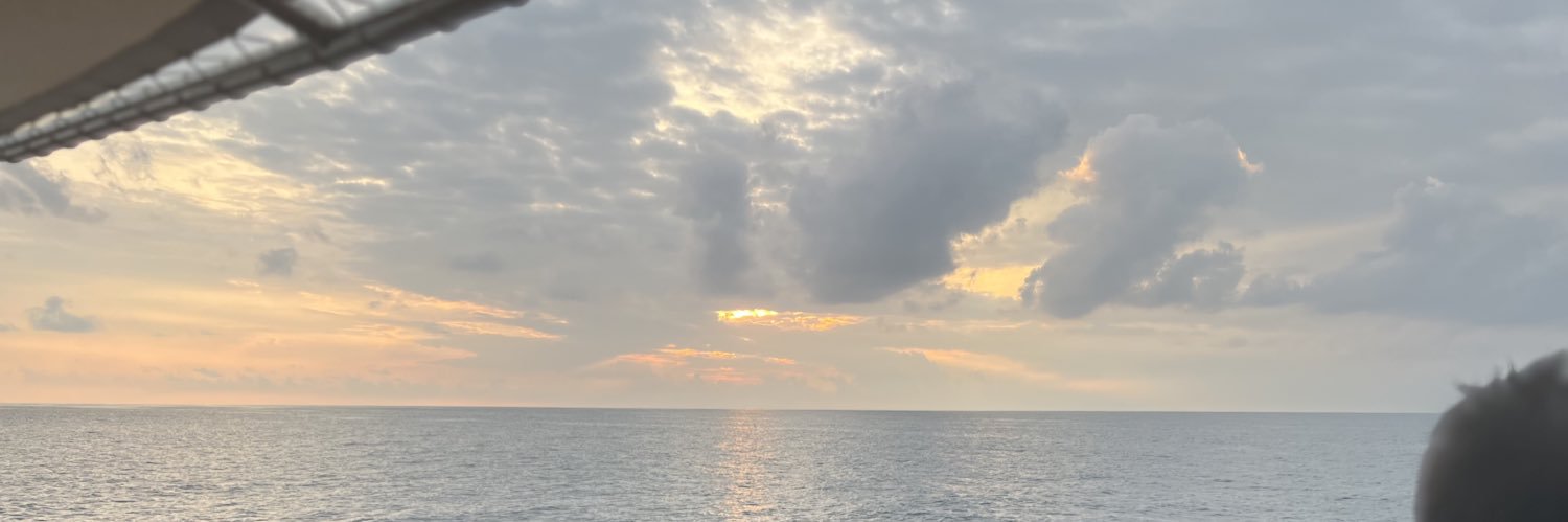 amymstoy's profile banner image