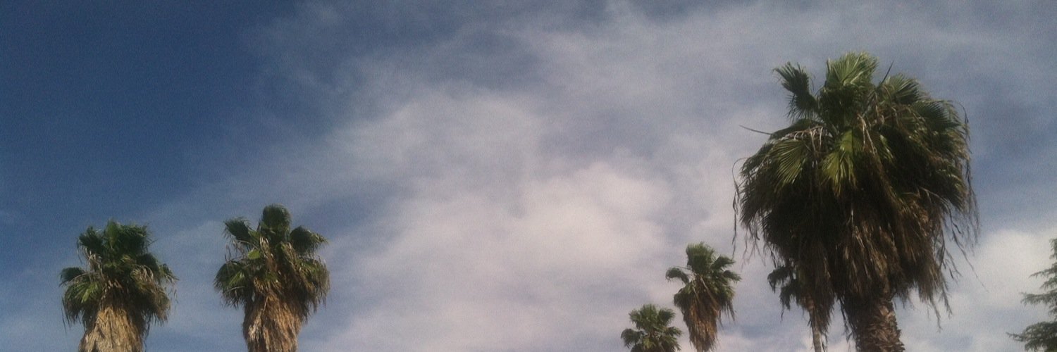 anevaaaa's profile banner image