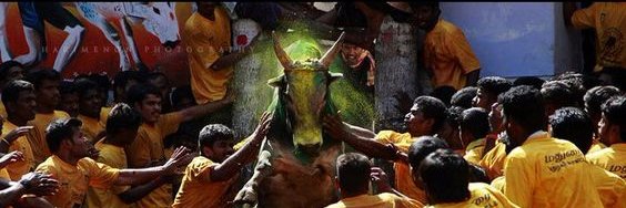 itzmrajesh's profile banner image