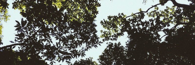 noriah_e's profile banner image