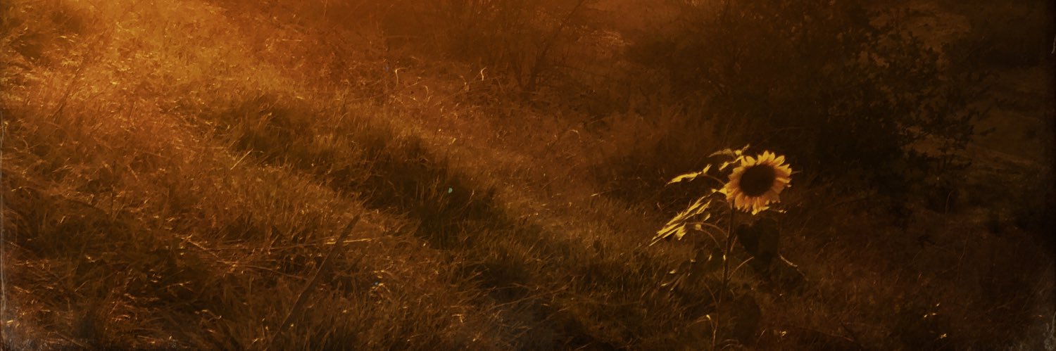 iCato's profile banner image
