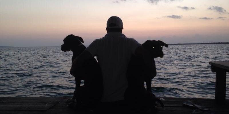 elbetanco's profile banner image