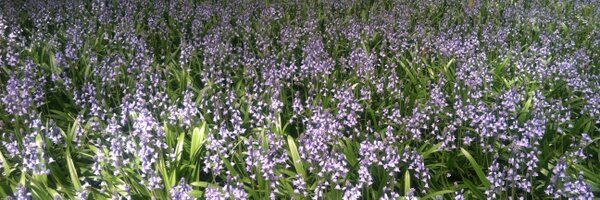 eunicekimwrites Profile Banner