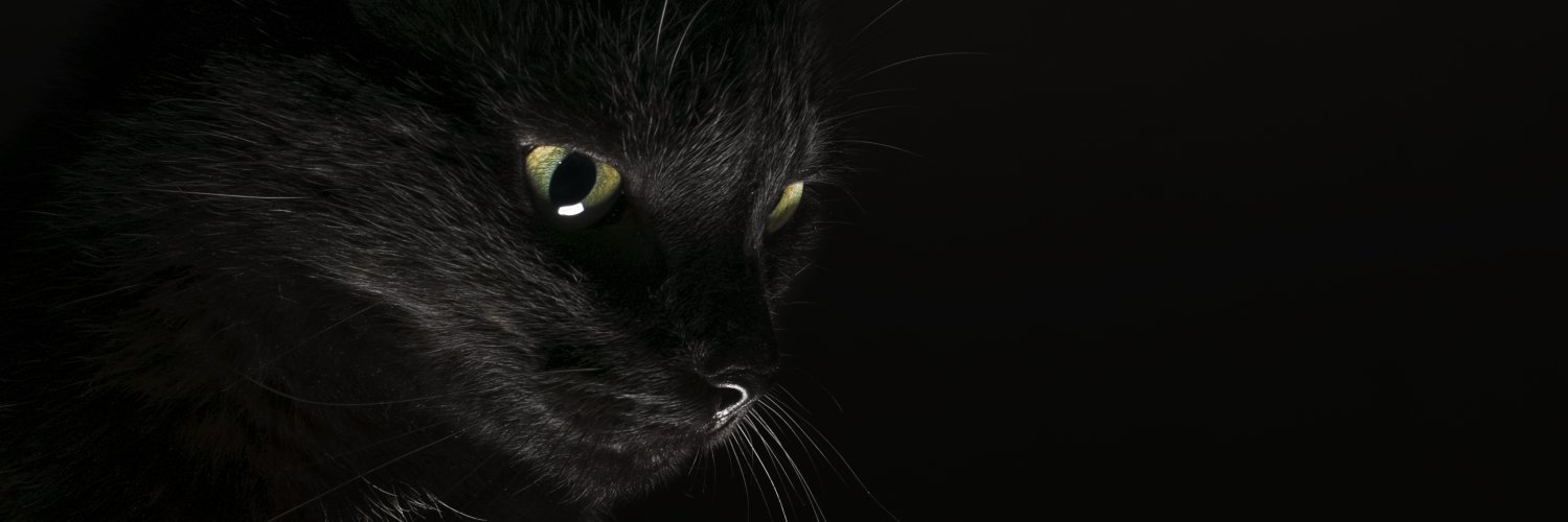 DiegoNya_'s profile banner image