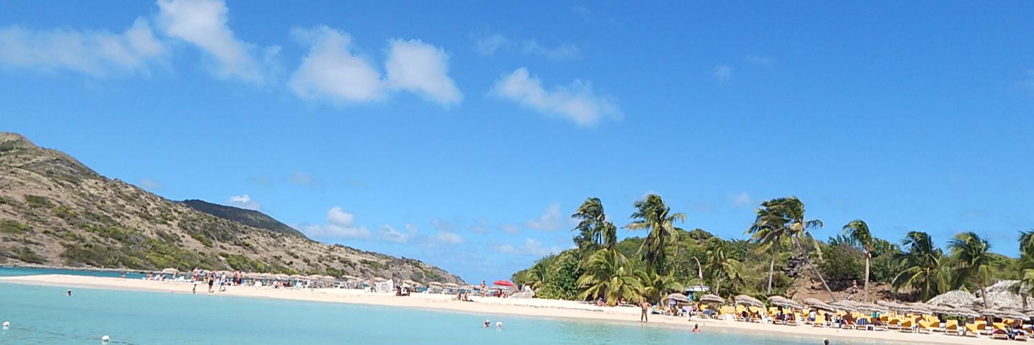 Caribbean Journal's banner