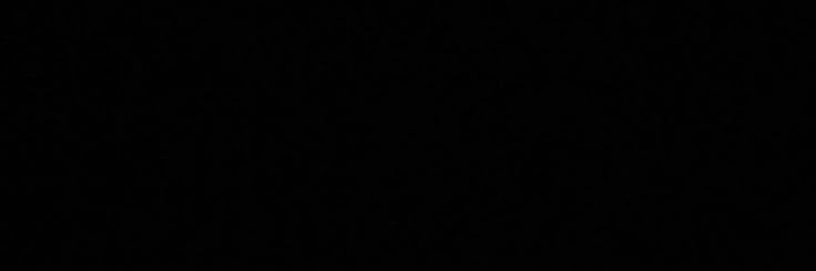 Denz banner