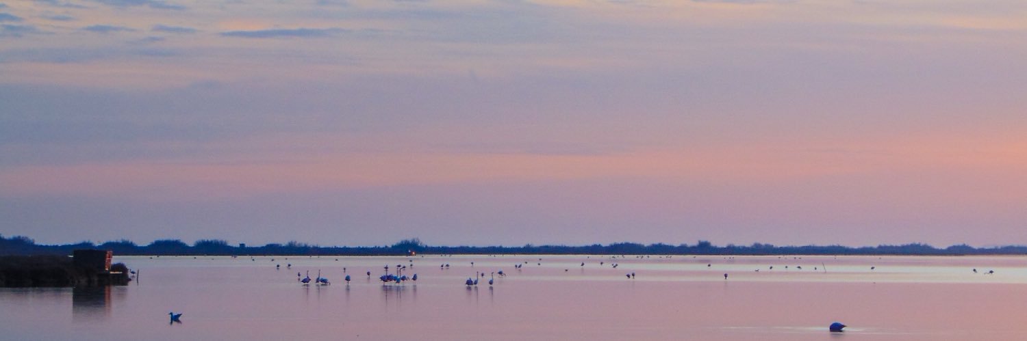 oopalescence's profile banner image