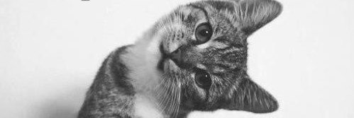 TECFON_77's profile banner image