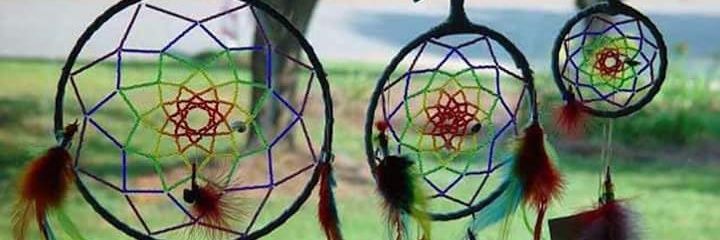 fedraidalia's profile banner image