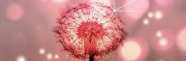 mandastj's profile banner image