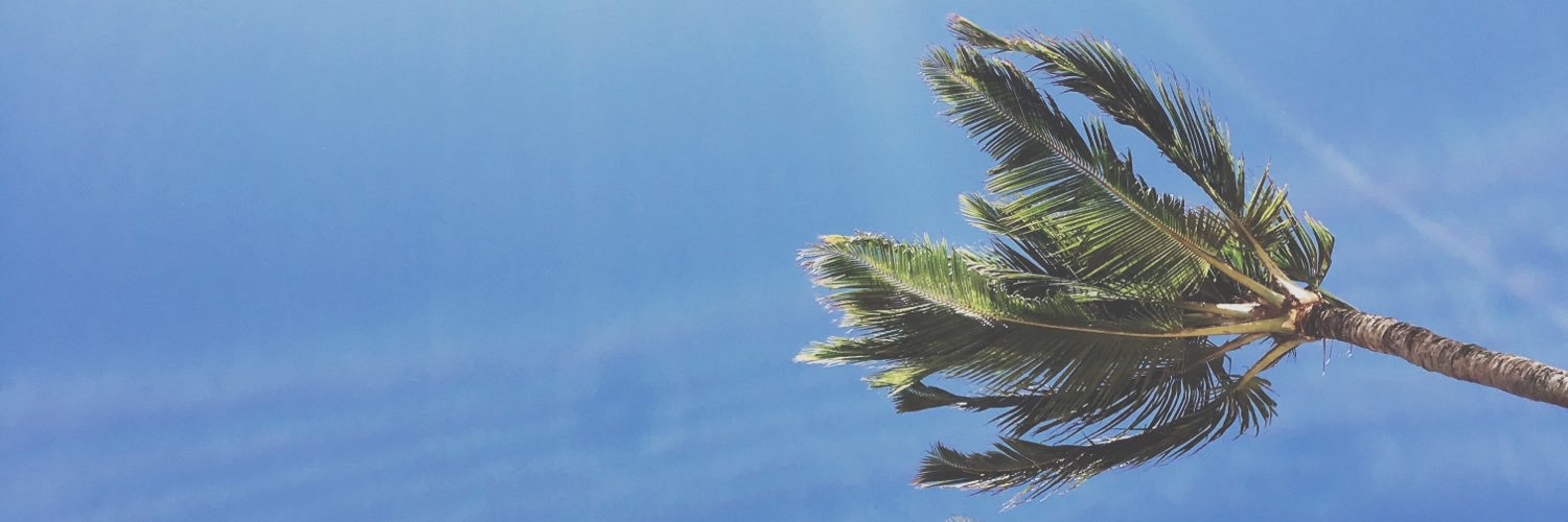 dotmariay's profile banner image