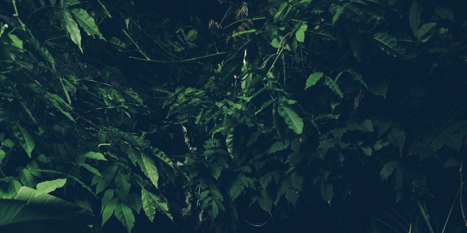 Jillonce's profile banner image
