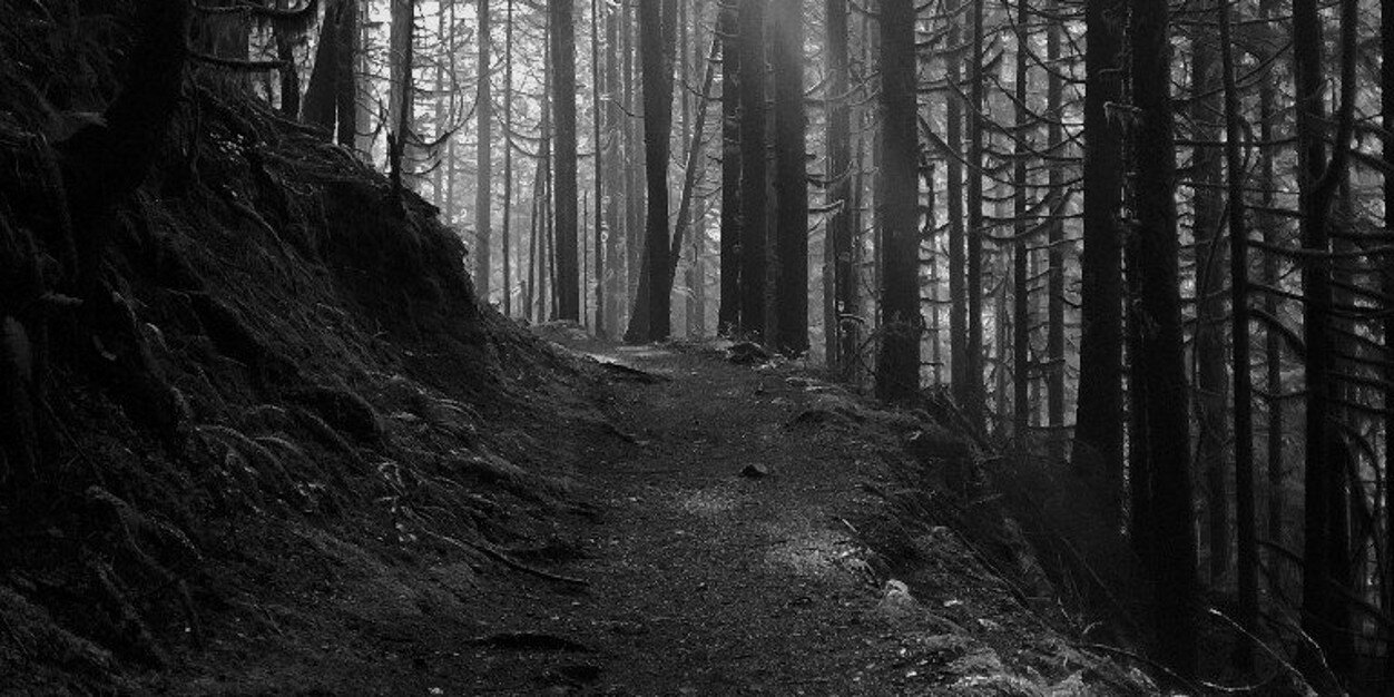 switt24's profile banner image