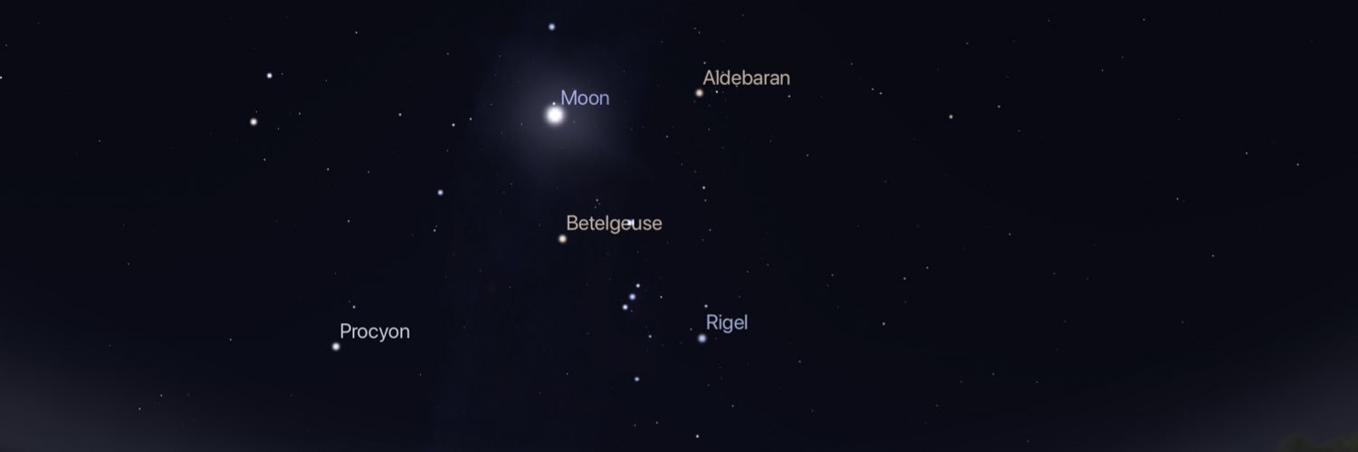 Michael Fifield 🇺🇦🇮🇪🇬🇧🤝🇪🇺🇮🇪 #FBPE banner