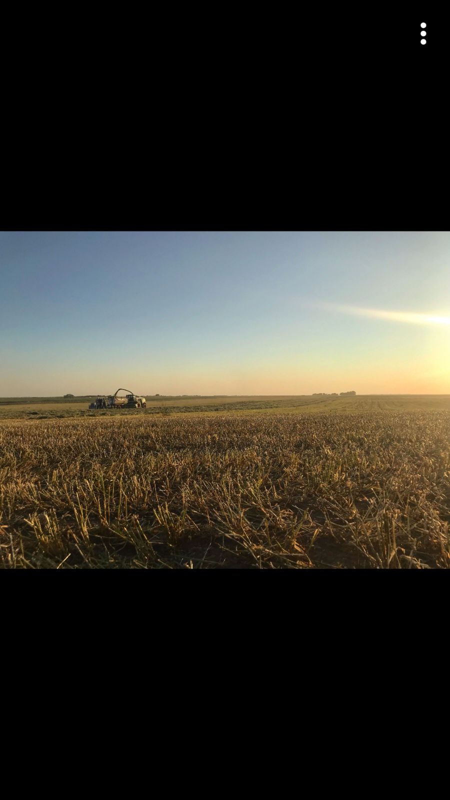 bj_richter's profile banner image