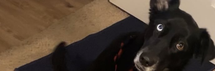 rbarb333's profile banner image