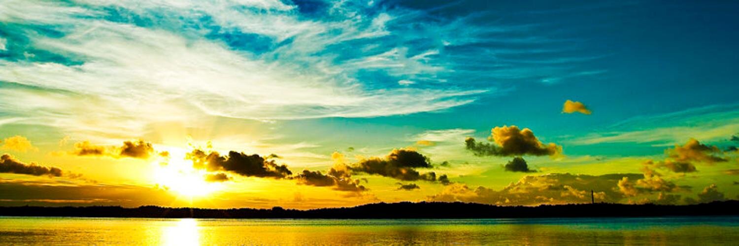Luiz banner