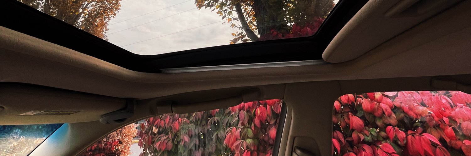litismel's profile banner image