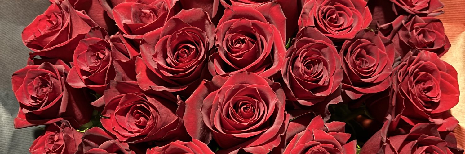 EstelleAndres's profile banner image