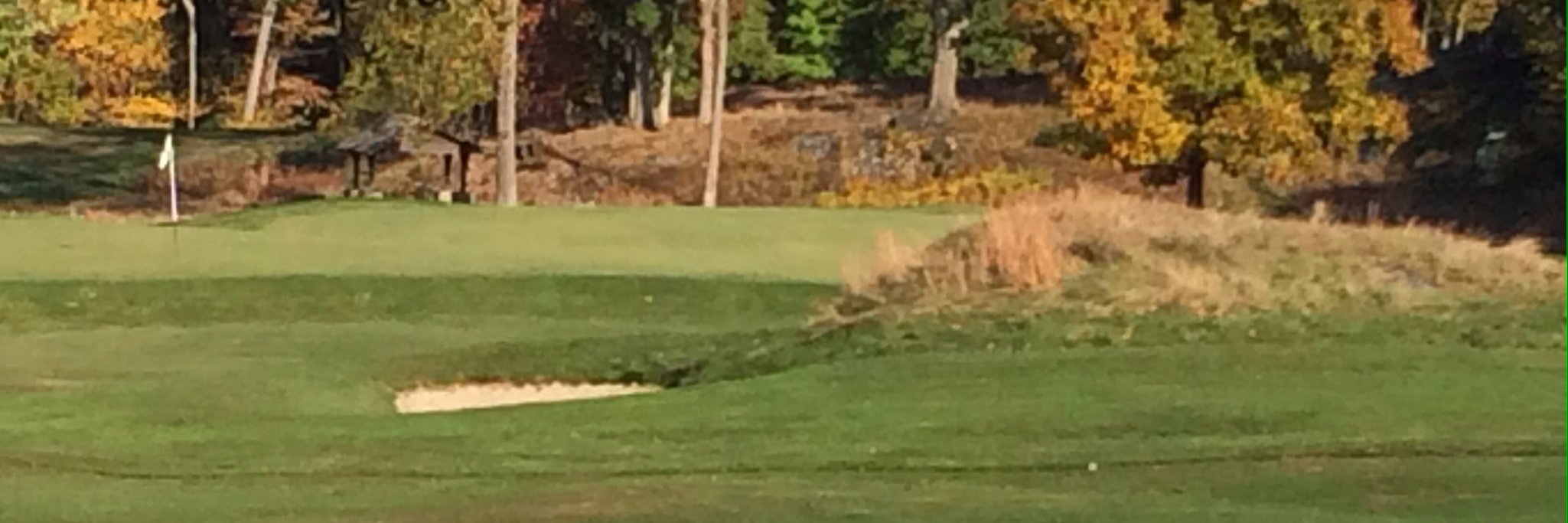 David Lippman banner