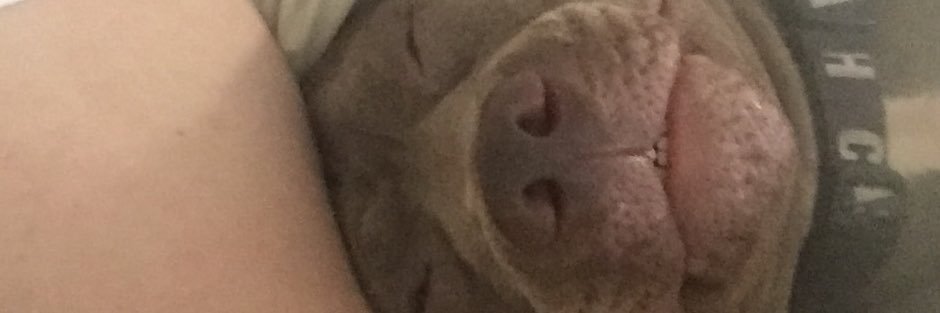 theRobbyKidwell's profile banner image