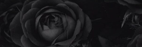ShayneRW's profile banner image