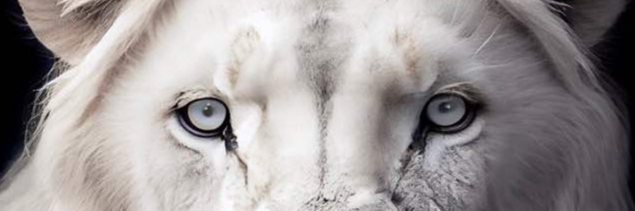 creamalert's profile banner image