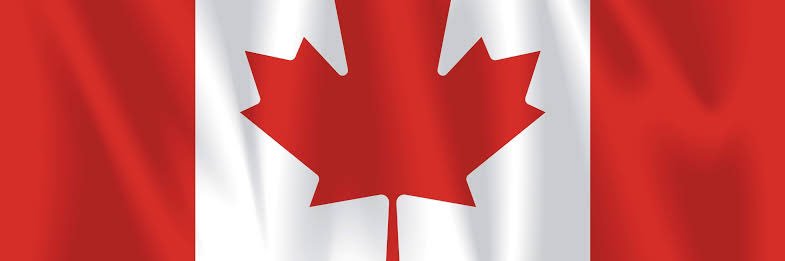 CanadianBrains's profile banner image