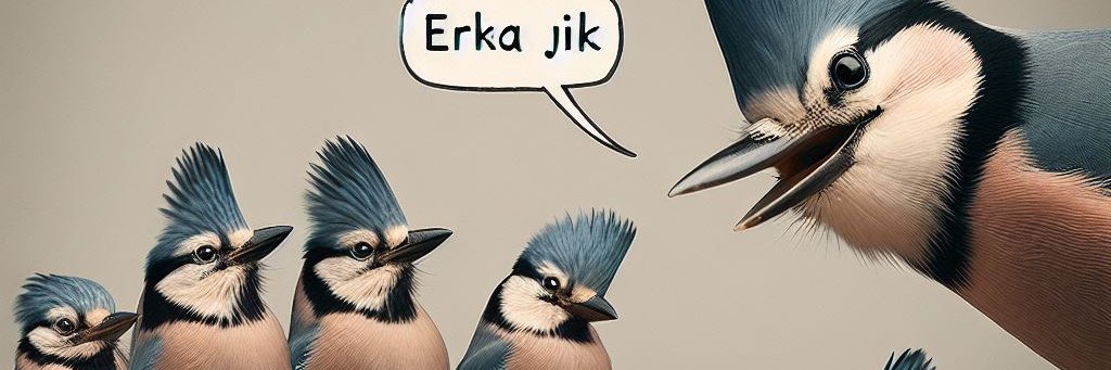 delphinepress's profile banner image