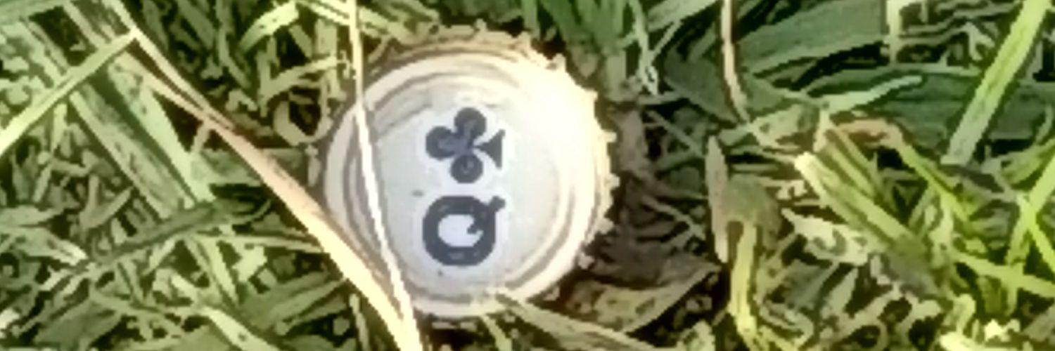 thephoolish1's profile banner image
