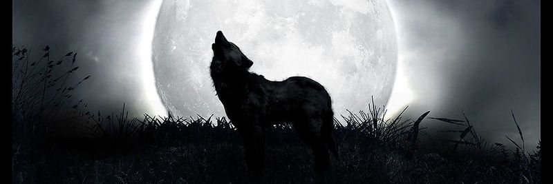 acruz_91's profile banner image