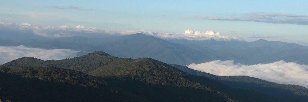 AJoyce1's profile banner image