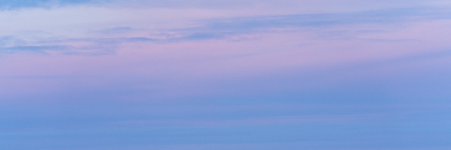Katie Basile banner