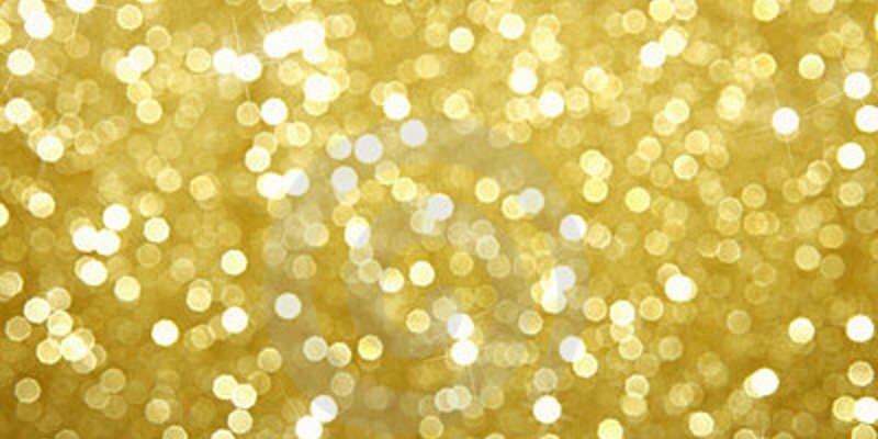 TurtlesObsessed's profile banner image