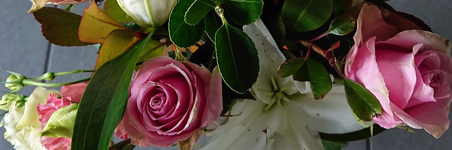 temman43's profile banner image