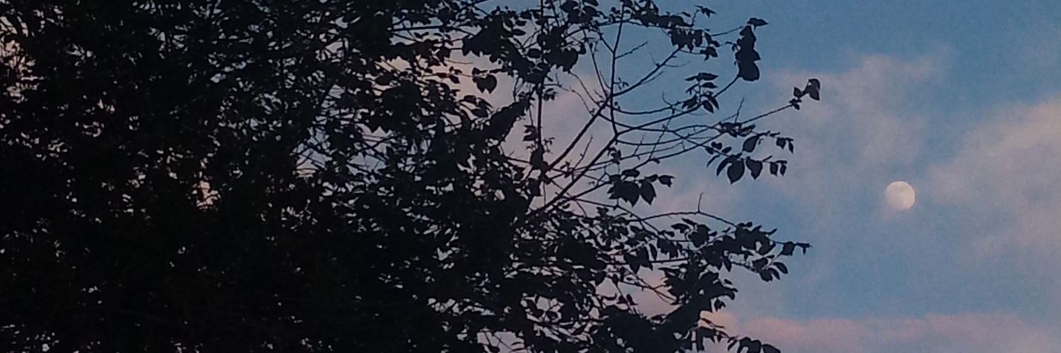 eedaaeda81's profile banner image