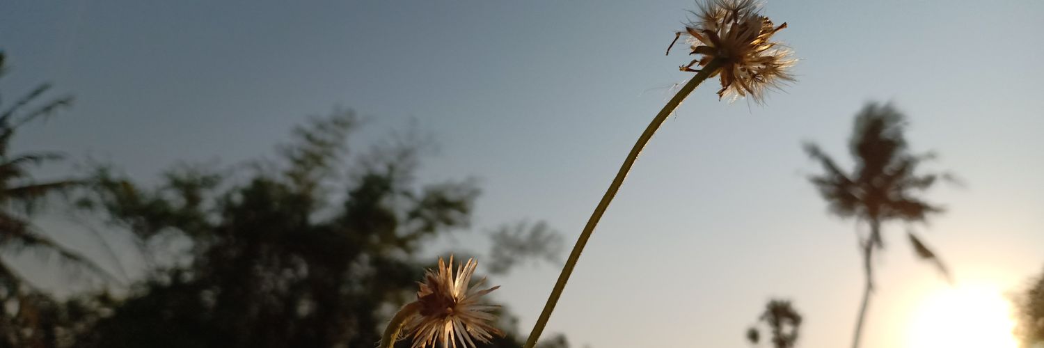 karnnoor's profile banner image