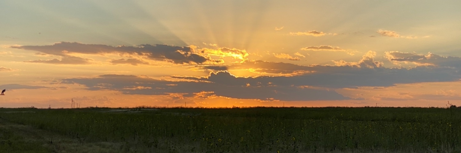 tcoletx's profile banner image